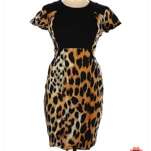 Rachel Roy Cheetah A-Line Dress